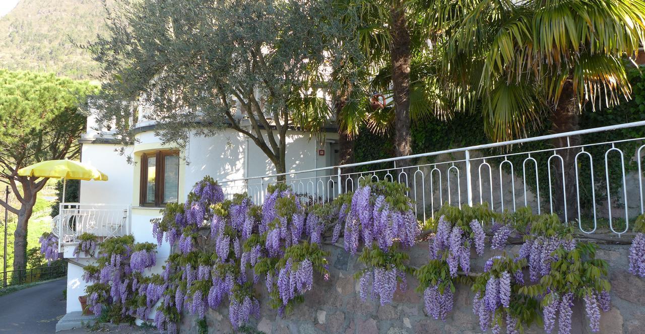 Appartement Trafoier تيرولو المظهر الخارجي الصورة